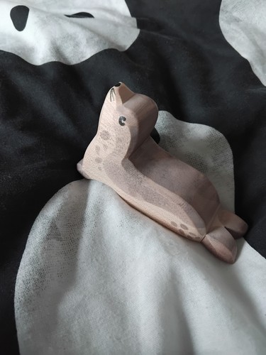 Ostheimer sea lion seal head - seal,