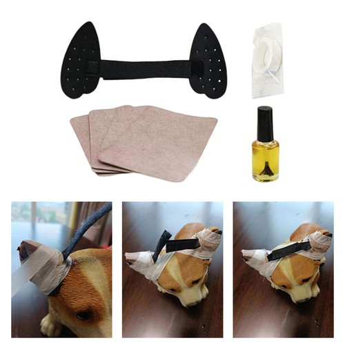 Doberman pinscher dog ears - doberman,