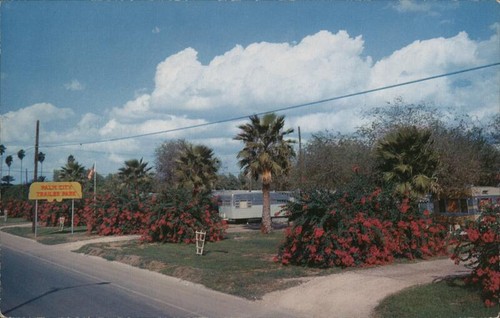 Mcallen texas palm - mcallen,, city