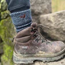 Dachshund Doxie (TWO PAIRS)