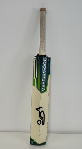 Kookaburra kahuna prodigy - kookaburra,