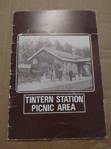 Tintern station picnic area - tintern,