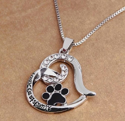 Paw print always heart - always, in