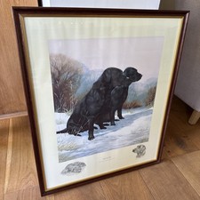 Nigel Hemming Side By Side