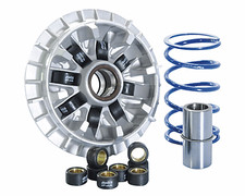 Polini Variator MAXI HIGH