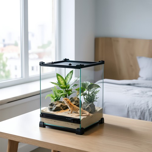 Reptile terrarium insect - reptile,