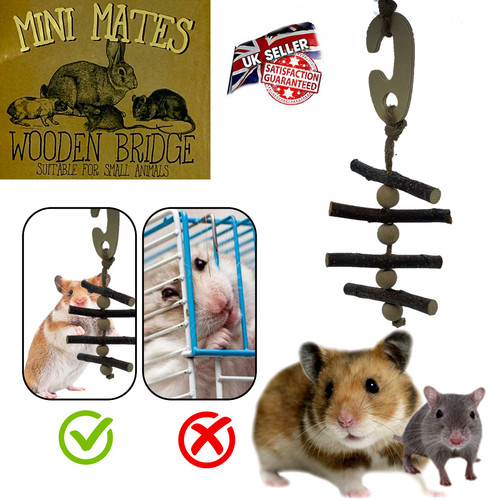 Pet small animal - animal, accessories