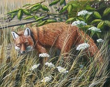 Contemporary Wildlife Painting Fox at the Meadows Edge 1994 by Mark Chester