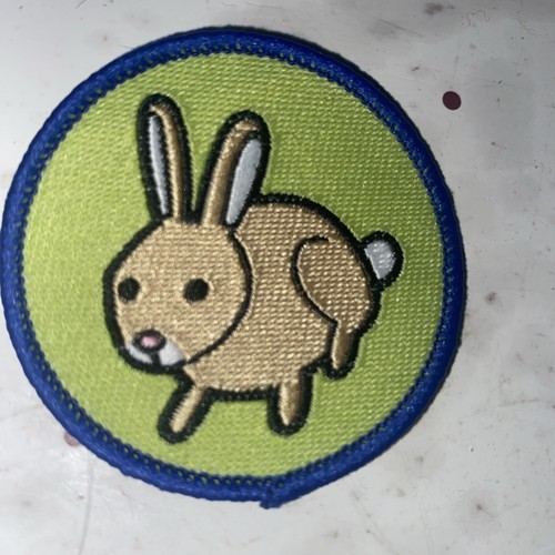 Obsolete brownie rabbit - obsolete, six