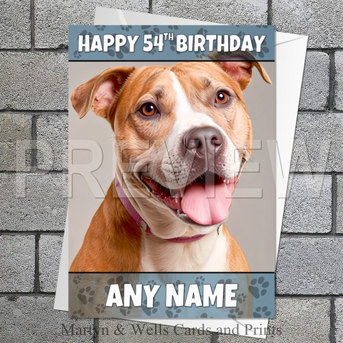 Staffordshire bull terrier - bull,