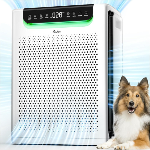 Air purifiers for - purifiers, large
