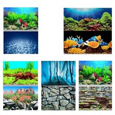 Aquarium Fish Tank Background