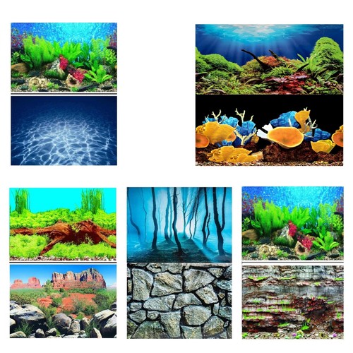 Aquarium fish tank background - fish,