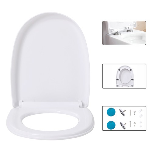 Luxury shape toilet - luxury, seat