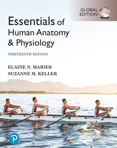 Essentials human anatomy - essentials,