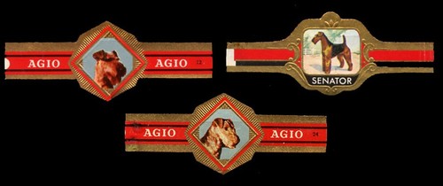 Airedale terrier dog original - airedale,