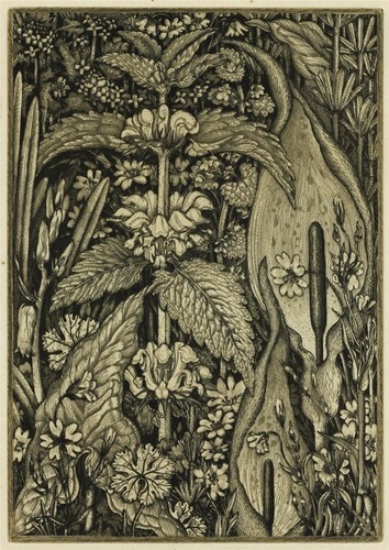 Robin tanner - tanner, (1904-1988)