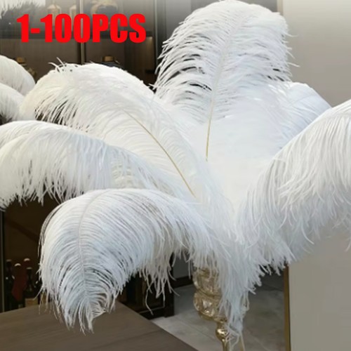 100pcs pack large ostrich - 100pcs/pack,