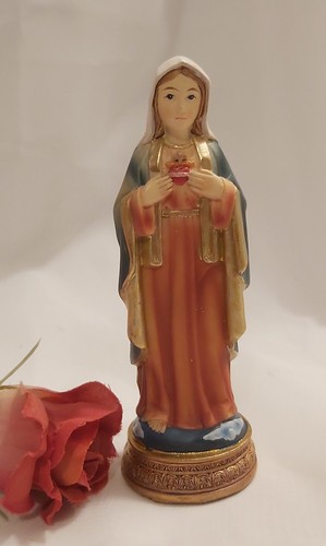 Virgin mary sacred heart - virgin, of