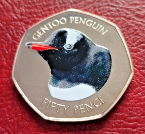 Gentoo penguin uncirculated - penguin,
