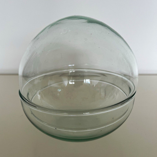 Clear glass globe terrarium - glass,