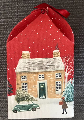 Next festive spice - ,