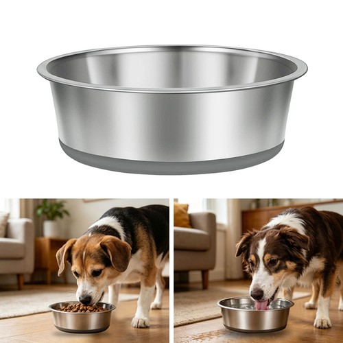 Pet bowl dog - bowl,