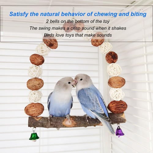 Bird chewing swing wooden - bird,