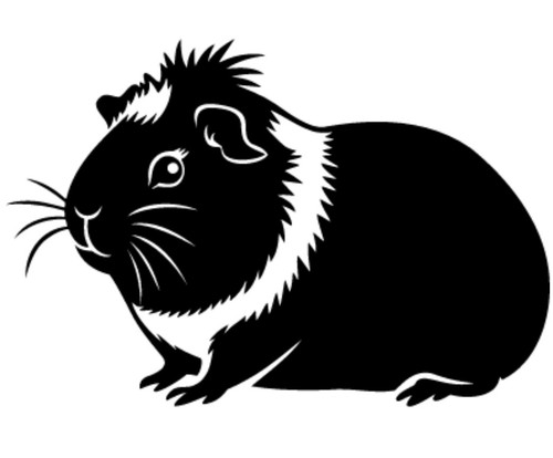 Guinea pig vinyl - pig, sticker