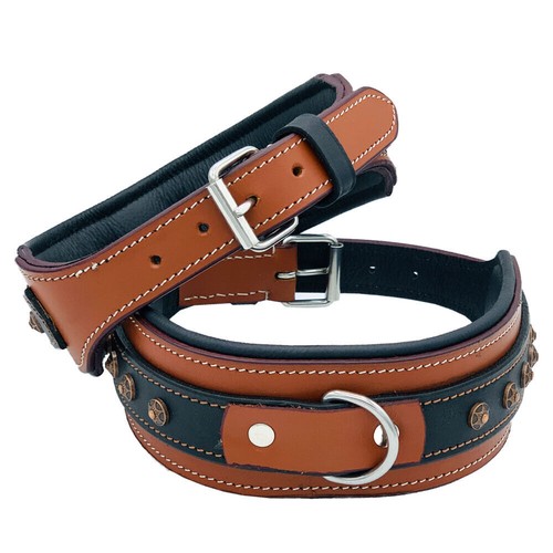 Leather dog collar studded - dog,