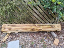 Redwood Tree Trunk 2m .33m Collection only. Heavy Manchester England .