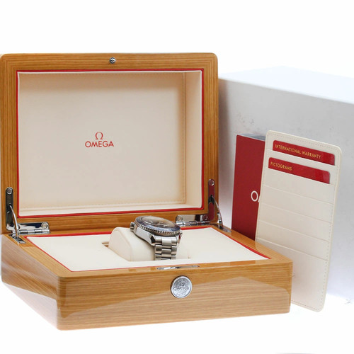 Omega seamaster planet ocean - omega,