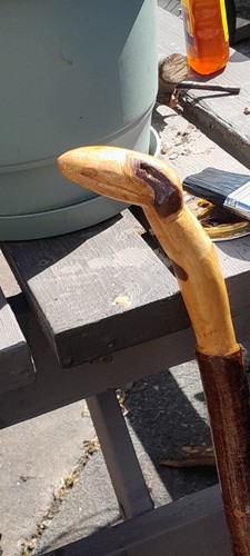 Blackthorn walking stick hand - walking, stick,hand
