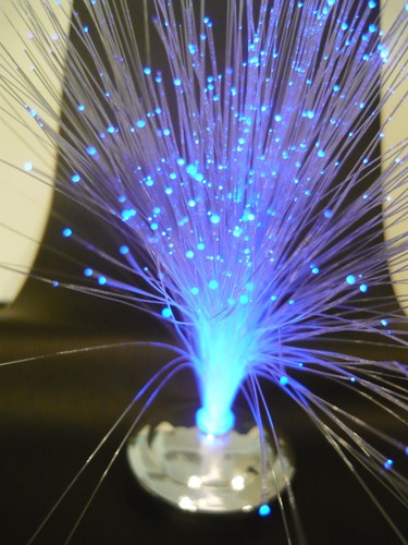 Contemporary fiber optic - contemporary,
