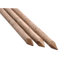 Ambassador round pine softwood - round,