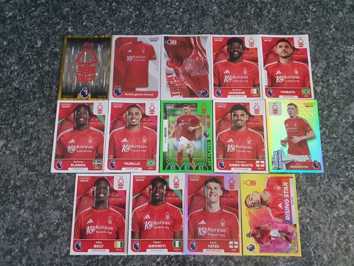 Panini premier league stickers - panini,