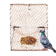 New Bird Trap Catcher Basket