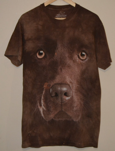 The mountain brown labrador - brown,