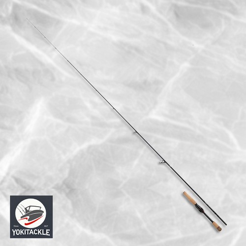 Daiwa steez shore competition - shore,