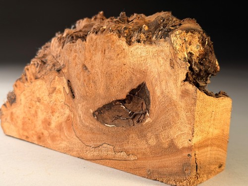 Spalted burr elm - live, edge