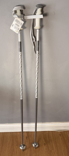 Salomon polar ski poles - salomon,