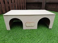 Guinea pig and out double - guinea,