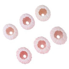  6 Pcs Sea Urchins Shells Fish Tank Ornament Decorative Seashells
