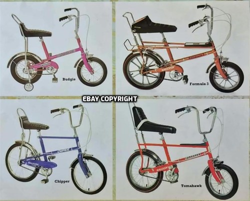 Raleigh tomahawk plus more - raleigh,