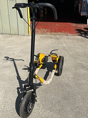 Yellow black adult - yellow/black,