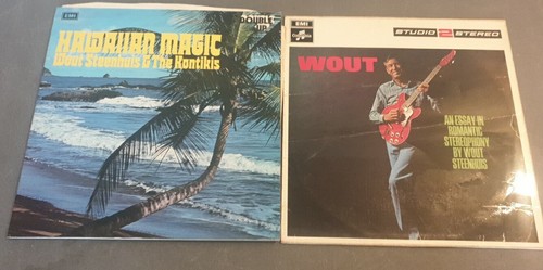 Wout steenhuis vinyl - 2,