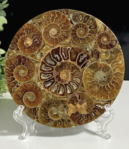 High quality crystal - quality,