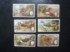 GALLAHER-BIRDS NESTS AND EGGS GALLAHER