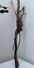 Large Driftwood Piece ideal