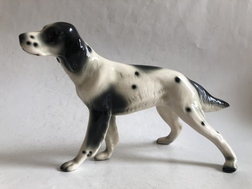 English setter pointer dog - /,